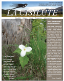 La Cisilute - 2011 Viarte